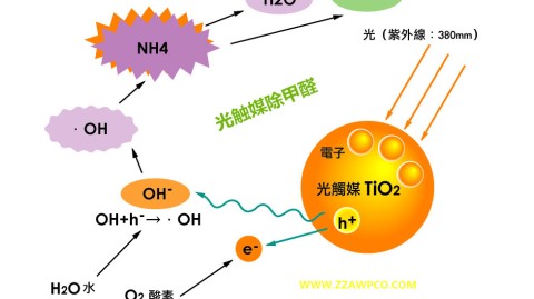 低预算旧房翻新｜佛山人别被竹炭坑了！四招科学除甲醛